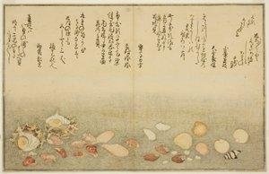 Shiro-gai, namima-gashiwa, makura-gai, iro-gai, aza-gai, sadae-gai, aus dem illustrierten Buch "Geschenke von der Ebbe (Shiohi no tsuto)" von Kitagawa Utamaro