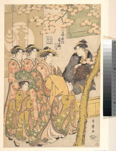 Die Oiran Kasugano von Ogiya auf Parade unter blühenden Kirschbäumen