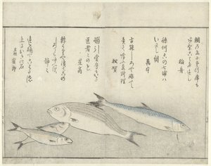 Vier Fische