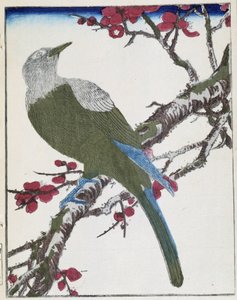 Vogel auf einem Baum. Japanische Zeichnung von Kitao Kosuisai von Kitao Shigemasa