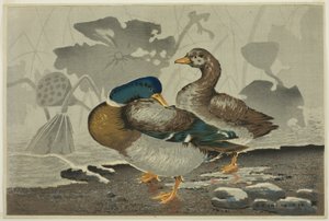 Ein Paar Enten an einem Lotus-Teich