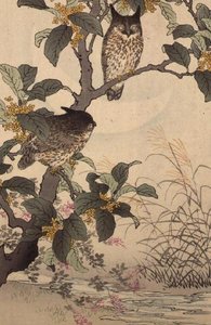Zwei Eulen in einem Baum aus Bunrei Kacho Gafu von Kono Bairei (1844-95), veröffentlicht 1885