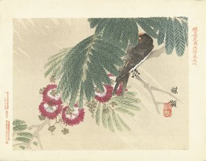 Schwalbe. Baireis Blumen- und Vogelskizzen von Kono Bairei