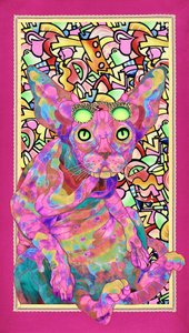Psychedelische Sphynx-Katze
