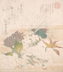 Kirschblüten und Kiefernzapfen, 19. Jahrhundert