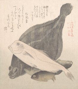 Flunder und andere Fische, 19. Jahrhundert