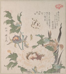Pfingstrosen und Iris von Kubo Shunman