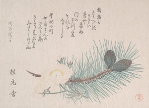 Kiefern und Kirschblüten, wahrscheinlich 1814