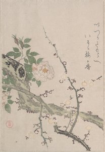 Rosen und Pflaumenblüten von Kubo Shunman