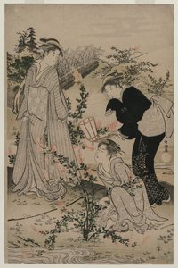 Frauen schneiden Zweige von Buschkleeblättern, Der Noji Tama Fluss in der Provinz Omi, späte 1780er Jahre