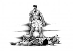 Box-Knockout-Sieg
