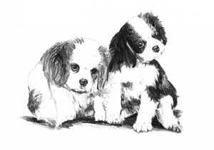 Cavalier-Welpen Gefährten