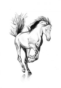Galoppierendes Pferd Skizze
