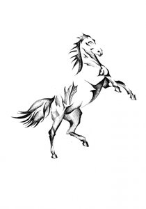 Majestätisches steigendes Pferd