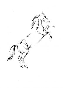 Majestätisches steigendes Pferd