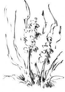 Monochrome Blumenpracht