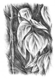 Schattierte Botanische Blätter