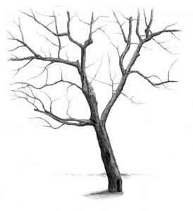 Kahler Winterbaum