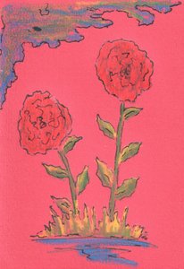 Zwei Blühende Rosen
