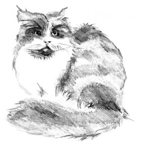 Verspieltes Flauschiges Katzenporträt