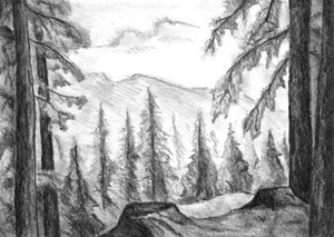 Wilder Bergwald
