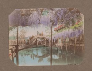 Menschen auf einer Brücke, im Vordergrund blühender Blauregen, in Kameido, Tokio, Japan