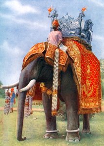 Ein majestätischer Elefant bei Bengalens Hauptfestversammlung, Indien, 1922