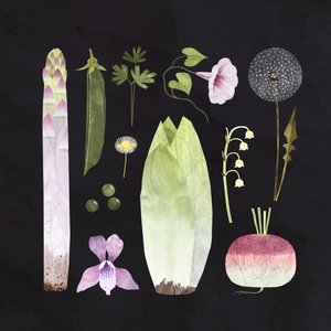 Gemüse und Blüten, 2023 von Léa Le Pivert