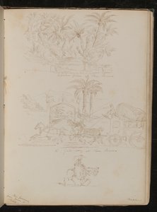 Ein Palmengarten in San Remo, eine Pferdekutsche vor einem Tor in San Remo, eine weibliche Figur zu Pferd
