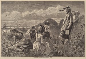 Beeren sammeln von Lagarde after Winslow Homer