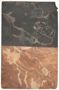 Entwurf für zwei verschiedene Arten der Marmorierung, eine schwarze und eine ockerrote