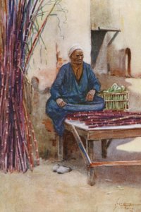 Menschen aus Ägypten: Zuckerrohrverkäufer, Baia Kasseb