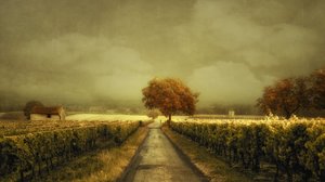 Herbstlicher Weinbergweg