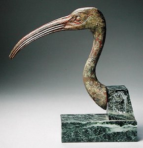 Kopf eines Ibis
