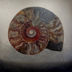 Silberne Ammonit