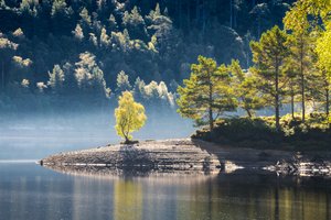 Rast des Druiden von Lee Cooper