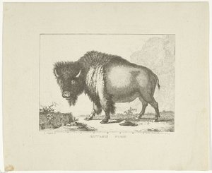 Bison von Leendert Brasser