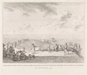 Finnwal am Strand von Zandvoort angespült von Leendert Overbeek