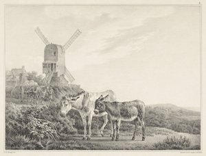 Zwei Esel in einer Landschaft bei einer Mühle von Leendert de Koningh