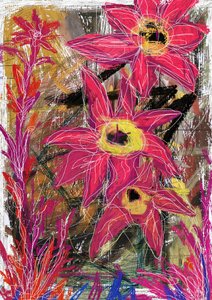 Lebhafte rosa Blüten von Lembayung senja studio [Vintage Poster]