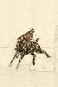 Westernreiter auf einem bockenden Pferd