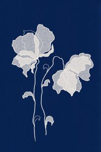Ätherische weiße Blumen