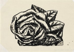 Ohne Titel (Rose)