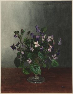 Veilchenstrauß von Léon Bonvin