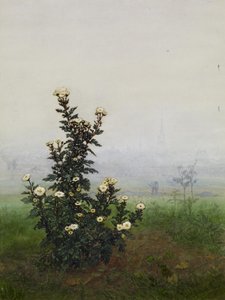 Fieberfew vor einer Landschaft, Issy-les-Moulineaux (?) von Léon Bonvin