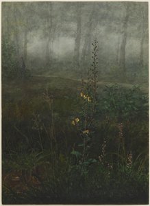 Graue Königskerze im Unterholz von Léon Bonvin