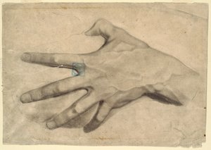 Zeichnung, Studie einer Hand