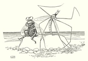 Der Weberknecht und die Fliege von Leonard Leslie Brooke