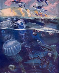 Leben im offenen Meer