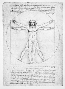 Die Proportionen der menschlichen Figur (nach Vitruv), ca. 1492